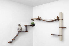 Catastrophic Creations Expedition Cat Condo