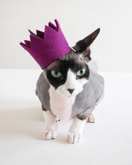 Bright Party Beast Crown