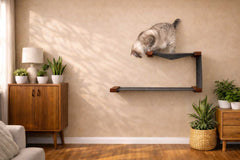 Catastrophic Creations Double Decker Cat Hanging Bed