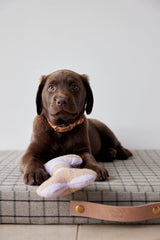 Ashi Dog Toy Small