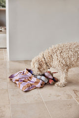 Ashi Dog Toy Small