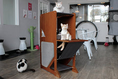 Catastrophic Creations The Overlook Bamboo Cat Tree