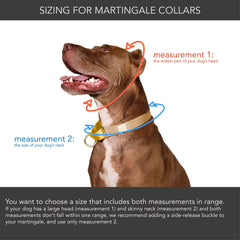 Violet + Teal Martingale Dog Collar