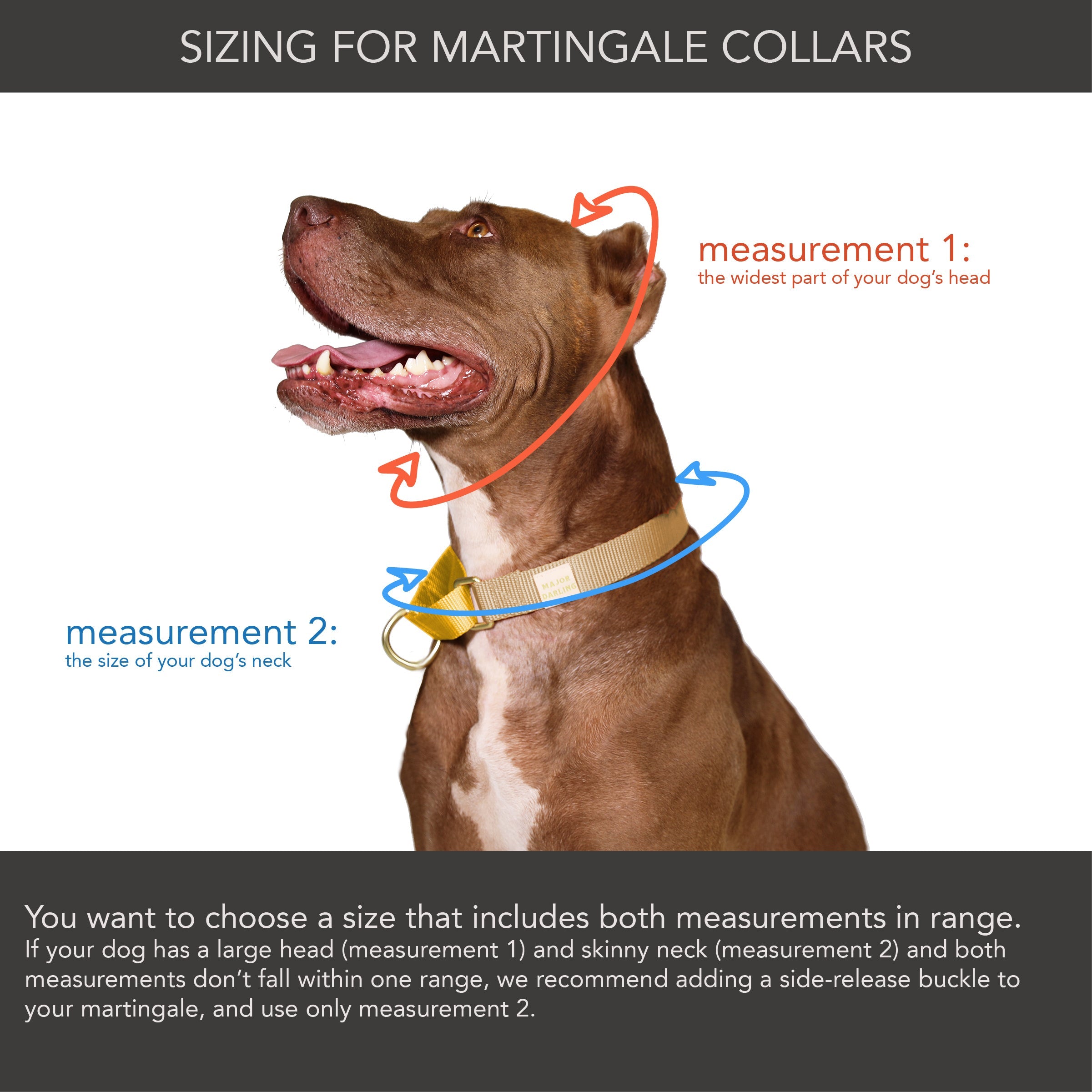 martingale collar / rose + grape / limited edition - Biscuit & Bell