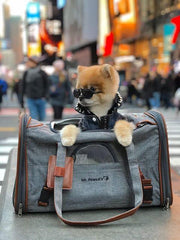 Mr. Peanut’s Gold Series Pet Carrier