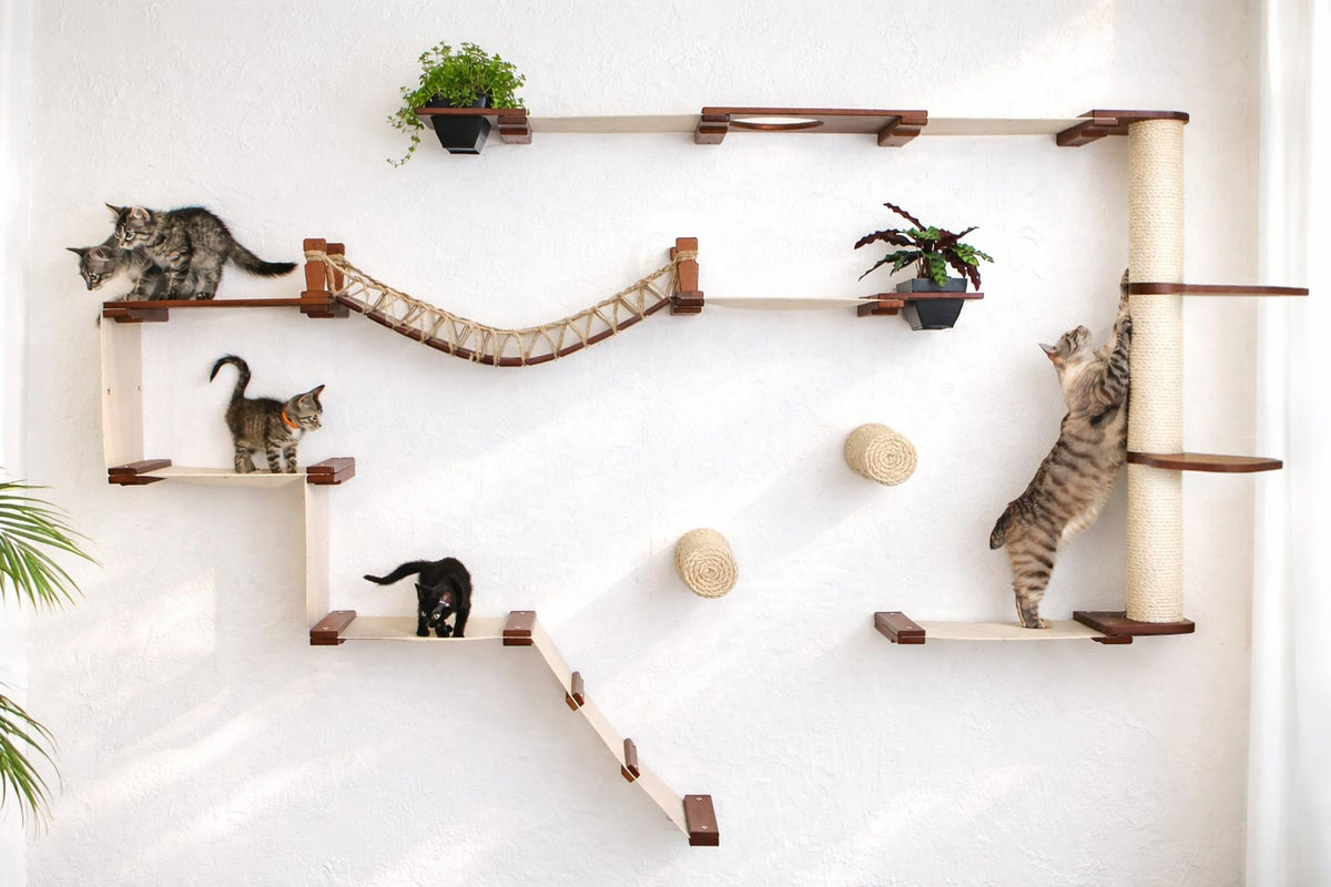 Catastrophic Creations The Juggernaut Cat Playground