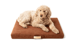 LAY LO Terra Modern Dog Bed