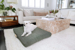 LAY LO Sage Modern Dog Bed