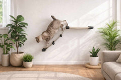 Catastrophic Creations The Lift Cat Hammock Bed