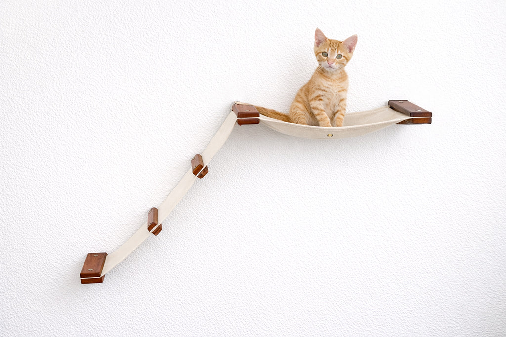 Catastrophic Creations The Lift Cat Hammock Bed