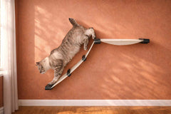 Catastrophic Creations The Lift Cat Hammock Bed