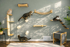 Catastrophic Creations Cat Bridge