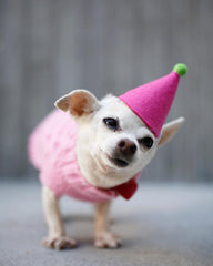 Party Beast Pawty Hat