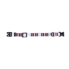 Pendleton Adventure Collar + Leash Set - Biscuit & Bell