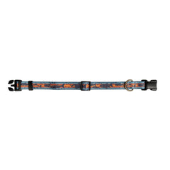 Pendleton Adventure Collar