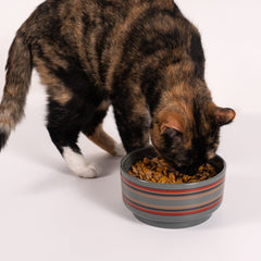 Pendleton Ceramic Food & Water Pet Bowl - Biscuit & Bell