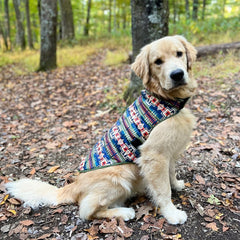 Pendleton Reversible Puffer Dog Coat