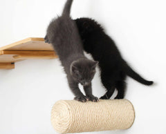 Floating Cat Step for Wall