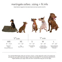 martingale collar / rose + grape / limited edition - Biscuit & Bell